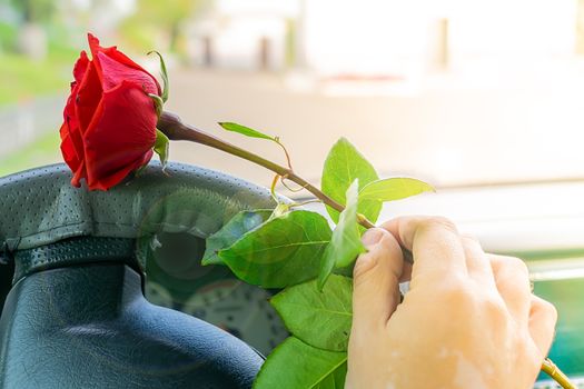 view of a car driver's hand at the wheel holding a red rose flower