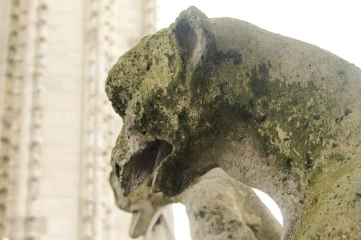 Gargoyle or chimera on the Cathedral of Notre Dame de Paris looks at the Eiffel Tower, Paris, France. Gargoyles are the Gothic landmarks in Paris. Vintage skyline of Paris with an old demon statue.