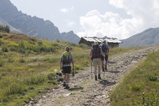 Mountain climbing. Three people go uphill with trekking poles and backpacks.