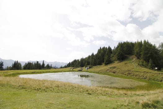 Scenic view to small alpine lake and big mountains with glacier in sunlight. Awesome green landscape with blue mountain lake among mosses in green highland valley in sunny day. Wonderful scenery.