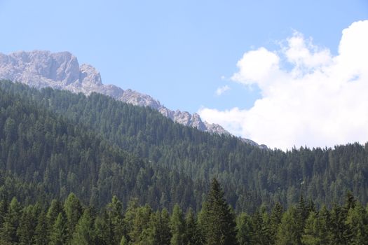 Aerial view of huge valley of the mountains of Italy, Trentino, green meadows, Slopes with green spruce trees, Dolomites on background, The town in the bottom of a valley