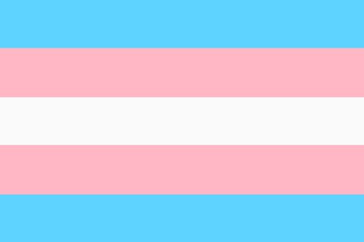 A Transgender Pride Flag background illustration blue white pink stripes