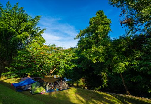 Camping and tent in nature park with blue sky