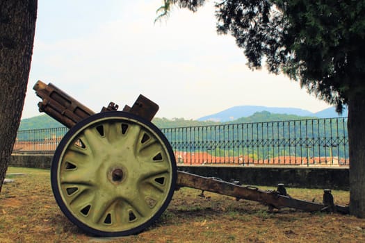 Cannon on green grass