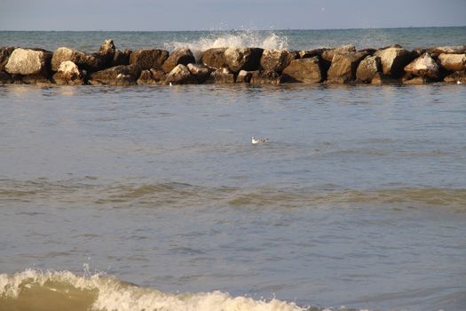 landscape of the Adriatic sea in Italy