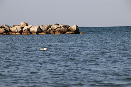 Rocks to protect the coast in the Adriatic sea in Italy