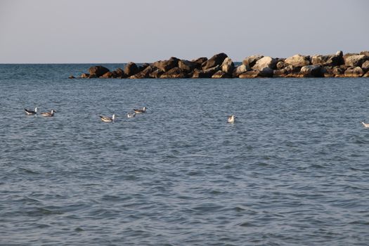 Rocks to protect the coast in the Adriatic sea in Italy