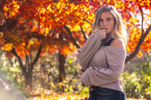 A gorgeous blonde model enjoys a Autumn day outdoors in a park