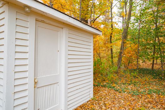 Lines of boards of white wooden building leading to forest of trees in autumn colors and surrounded by leaf drop.