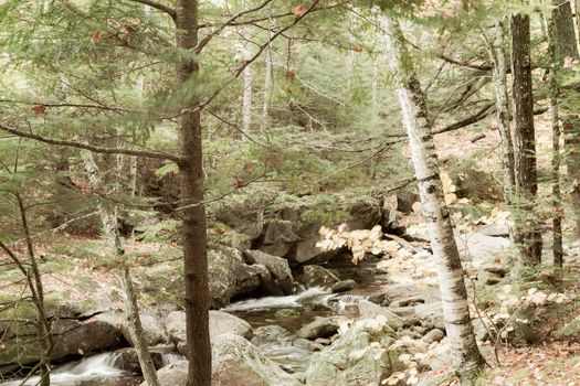 Stream running between rock and through forest along hiking track in Maine USA in aged photo effect.