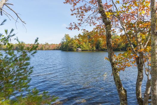 Beautiful autumn colors of surrounding woodlands of Lake Echo, Maine, USA. Highway 17.