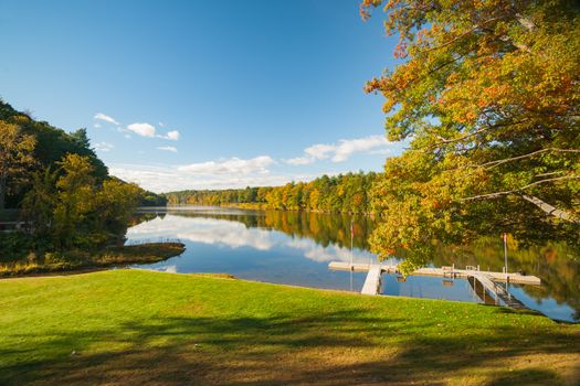 Beautiful Connecticut River lined by autumn foliage forest with jetty and oak tree in foreground near Brattlebro, Vermont  USA.