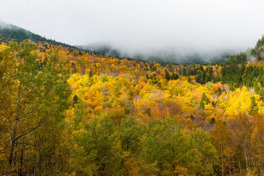 Clouds roll into valley of brilliant fall colored forest bewteen high rocky bluffs. Maine USA, fall scenes.