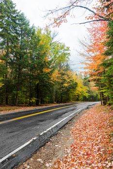 Highway through New Hampshire forest in autumn colors on wet misty day in vertical composition.