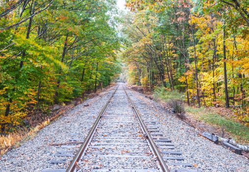 Railway lines through uatumn colored forest  at Bears Notch on Kancamagus Highway, New Hampsire USA.