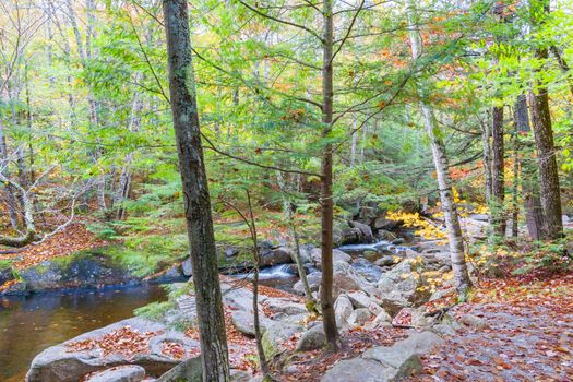 Stream running between rock and through forest along hiking track in Maine USA.
