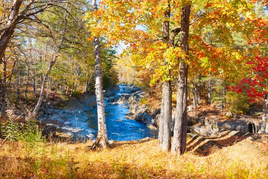 Coos Rapids and stream flow through autumnal colored forest, Maine, USA.