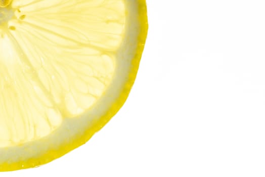 Lemon slice close-up backlit on white background