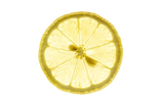 Lemon slice close-up backlit on white background