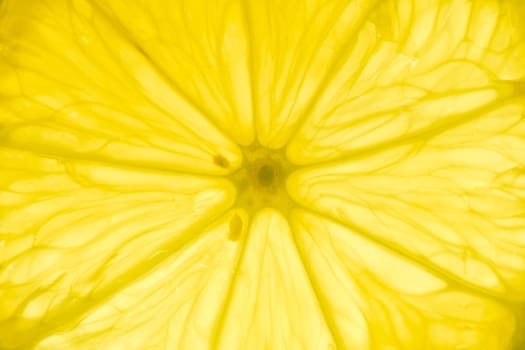Fresh lemon slice detail backlit close-up view