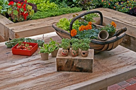 Childrens edible vegetable garden with work bench
