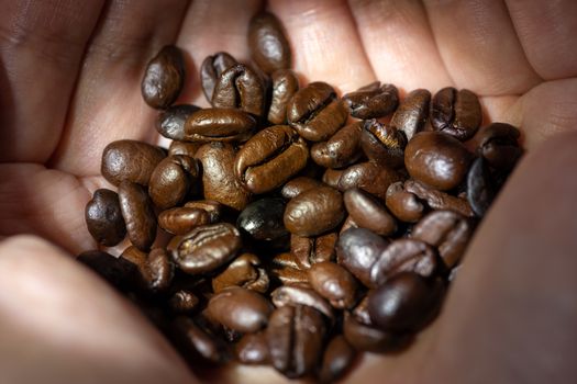 Heap of roasted coffee beans close-up view in hands