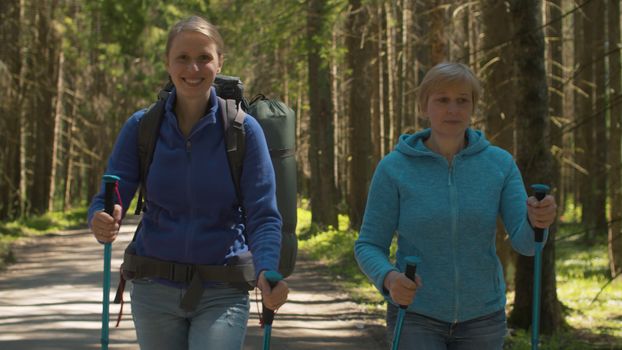 Portrait of two women walking in the coniferous forest by the dirt road with trekking poles. Trekking in the forest, active and healthy lifestyle concept