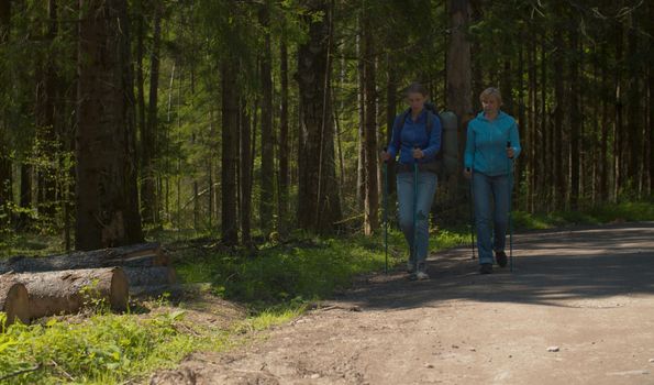 Two women on the stroll in the forest. They walking by dirt road, then stop to rest on sawn trees. Trekking in the forest, active and healthy lifestyle concept