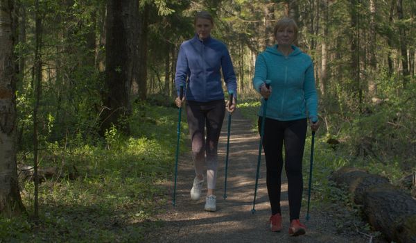 Nordic walking in spring forest. Women with trekking poles hiking by the dirt road. Active and healthy lifestyle concept