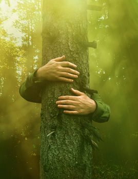 Hands around an old tree trunk, hugging in magical green forest, environmental concept              