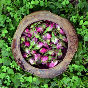 Pink rose buds in a wooden bowl on grass