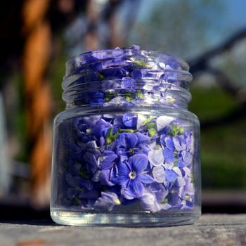 Blue flowers in a small jar