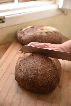 Cutting a loaf of bread into slices. Homemade bread. Healthy sour bread.