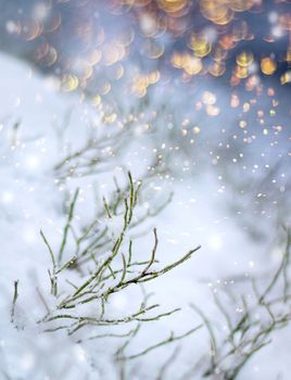 Colorful flakes first snow impression, beautiful winter concept Christmas snowfall