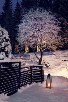 Winter evening in snowy home garden