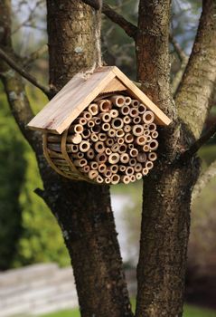 Wooden bug hotel for insects hanging in garden tree