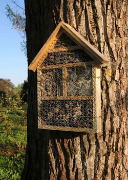 Insect hotel attached on a thick tree trunk