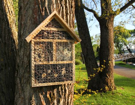 Insect hotels attached on beautiful garden trees