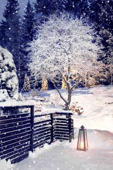 Snowfall in winter home garden evening