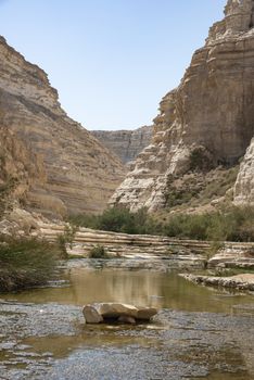 Israel Negev Desert Sede Boker. Great view of the Nakhal Tsin rift. Beautiful mountains with colorful sand. View of Nubian Ibex in Sde Boker, the Negev Desert, Southern Israel.