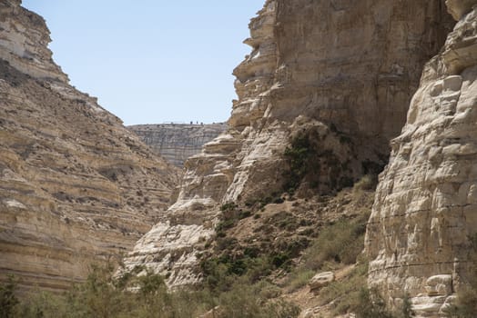 Israel Negev Desert Sede Boker. Great view of the Nakhal Tsin rift. Beautiful mountains with colorful sand. View of Nubian Ibex in Sde Boker, the Negev Desert, Southern Israel.