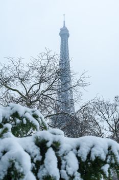 Eiffel tower under the snow behind trees from the Trocadero gardens in winter in Paris, France