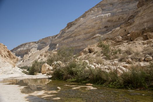 Israel Negev Desert Sede Boker. Great view of the Nakhal Tsin rift. Beautiful mountains with colorful sand. View of Nubian Ibex in Sde Boker, the Negev Desert, Southern Israel.