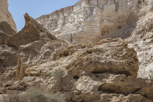 Israel Negev Desert Sede Boker. Great view of the Nakhal Tsin rift. Beautiful mountains with colorful sand. View of Nubian Ibex in Sde Boker, the Negev Desert, Southern Israel.