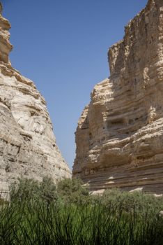 Israel Negev Desert Sede Boker. Great view of the Nakhal Tsin rift. Beautiful mountains with colorful sand. View of Nubian Ibex in Sde Boker, the Negev Desert, Southern Israel.