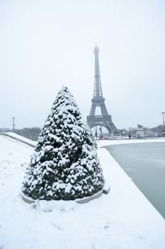 Eiffel tower under the snow in winter behind pine trees from the Trocadero basin in Paris, France