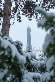 Eiffel tower under the snow behind trees from the Trocadero gardens in winter in Paris, France