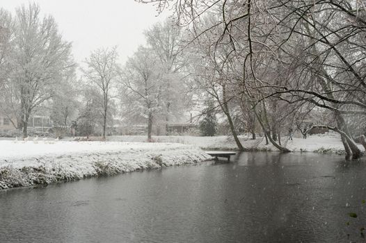 Snowfall in a park with a pond in winter, Rotterdam, Netherlands