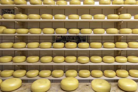 Block of Dutch cheese displayed on the tray in the cheese shop at Zaanse Schans, Netherlands