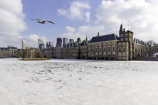 Seagull flying above the Dutch parliament building and its frozen pond water